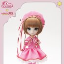 사쿠라(SAKURA) 이미지