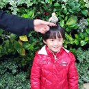 방주어린이집 이미지