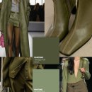 올리브그린 이미지