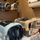 행운캔넬 이미지