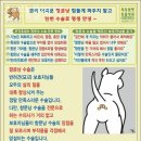쿨펫이마트 목동점 동물병원 네이버블로그