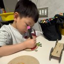 생각이 자라는 나무 | 생각이 자라는 미술 / 도서관 온라인 미술수업 후기