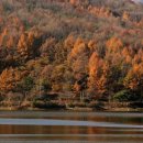 최인규 농장 이미지