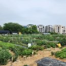 왕곡농장 이미지