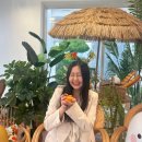 홀라닭강정 | 싱그러운 6월 시작 [230601~230611]