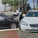 라임모터스 네이버블로그