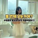 [일상Vlog.6] 봄 언제 오는거야? 벚꽃은 봤는데 아직 겨울이잖아