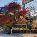 멱절길35번길 이미지