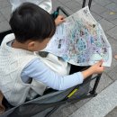 원길로 | 서울대공원 봄꽃축제 후기:) 아이와 가기 좋은 과천 벚꽃 명소