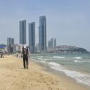 동백섬 티스토리