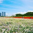 새사랑요양센터 이미지