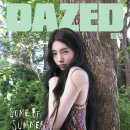 수지