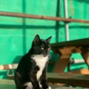 와따좌대낚시터 이미지