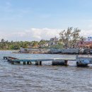 코히마르 이미지