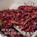 엄마떡방앗간 네이버블로그