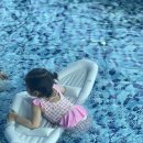 신파리208아이들 이미지