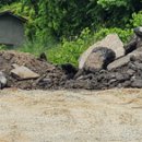 동광 태양광발전소 이미지