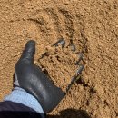 한강시민공원(야구장) 이미지