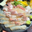 팔딱팔딱 | 대구 범어동 맛집 팔딱팔딱회 횟집