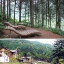 양성면사무소 주차장 | 암환자 치유에 도움 주는 녹색의사 '숲'/산림청 추천 걷기 좋은 숲길 베스트10