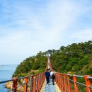 대왕암공원 | 울산 대왕암공원 출렁다리 울기등대 산책로 울산여행 코스