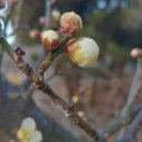 상탄지리 마을회관 이미지