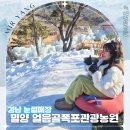 이마트24하단동매점 | 경남 눈썰매장 밀양 얼음골폭포관광농원 썰매장 겨울 나들이