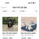 포인