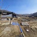 강철농장 이미지