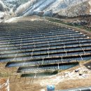 영진태양광발전소 이미지