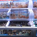 조개2번지 이미지