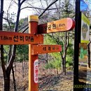 우족산약수터 Daum카페