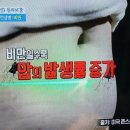 지나비만관리실