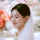 더뉴 | 본식서브스냅 벨벳뮤즈스냅 더뉴컨벤션 후기