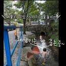 가평 물의나라 캠핑장 가을 캠핑 후기｜유아 동반 캠핑 후기 + 실제 비용 정리 (2023.09.28~29)