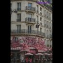 해밀톤사우나 이미지