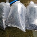 하양민물수산 이미지