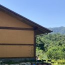 맘스주막 이미지