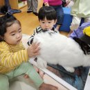 꼬망세하바어린이집 이미지