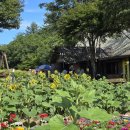 산칠록사우나 이미지