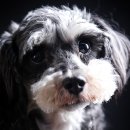 토리프로젝트 이미지