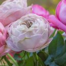 브리딩 팜 이미지