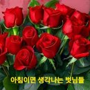 도꾸 이미지