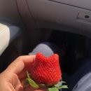 장원영농장 이미지