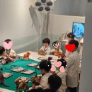다이노베이 38개월 아기랑 가볼만한곳 공룡러버 아이랑 용인 기흥 가볼만한 곳 강추