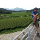 바람이불어오는곳 이미지