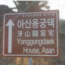 충남댁 이미지