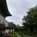 비가오는길 Daum카페