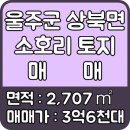 홍부동산공인중개사사무소 이미지