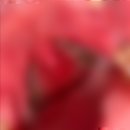 공주PC방 | 편도를 내주고 다리를 얻은 복어공주
